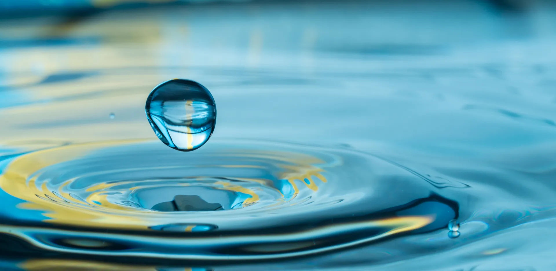 The Future of Collaborative Robots: How Neuromeka is Changing Industries